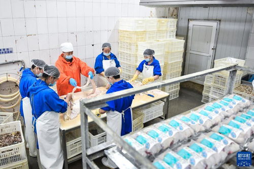 崔玉梅 從農(nóng)家女到勞動(dòng)模范的紡織服裝與日用品銷售之路